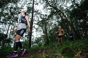 BIB: 
                            <button type="button" onclick="openModal(22556328)" class="btn btn-primary btn-sm float-right btn-popup" data-toggle="modal" data-target=".modal-high-quality">
                        <i class="fas fa-shopping-cart"></i> Add to Cart
                    </button>
                                            <button type="button" onclick="isThisMe(22556328, true)" class="btn btn-success btn-sm float-right btn-popup btn-isme hidden" data-toggle="tooltip" data-placement="bottom" title="นี่คือรูปของคุณใช่ไหม คลิกที่นี่เพื่อเอาเข้าอัลบั้ม">
                        <i class="fas fa-plus"></i> Add to album
                    </button>
                    <button type="button" onclick="isThisMe(22556328, false)" class="btn btn-warning btn-sm float-right btn-popup btn-isnotme hidden">
                        <i class="fas fa-ban"></i> Remove from album
                    </button>